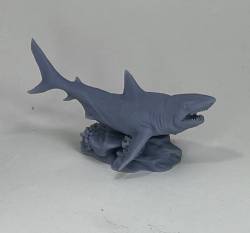 Shark